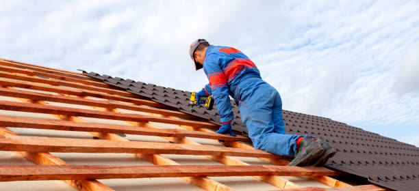 Best Roof Coating and Sealing  in Reinbeck, IA